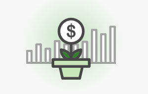 plant plant